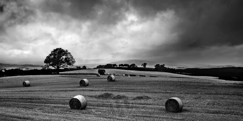 Whittington Northumberland England - Monochrome