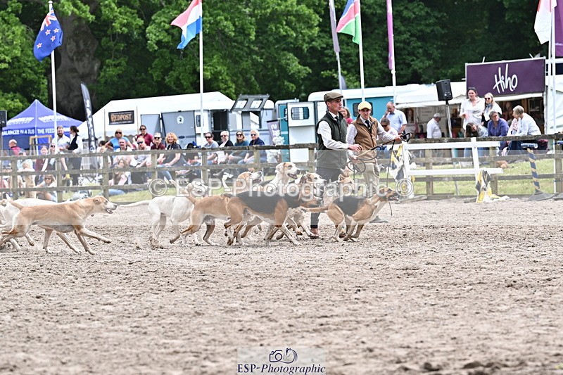 250524A-152314-12709 - East Devon Hounds