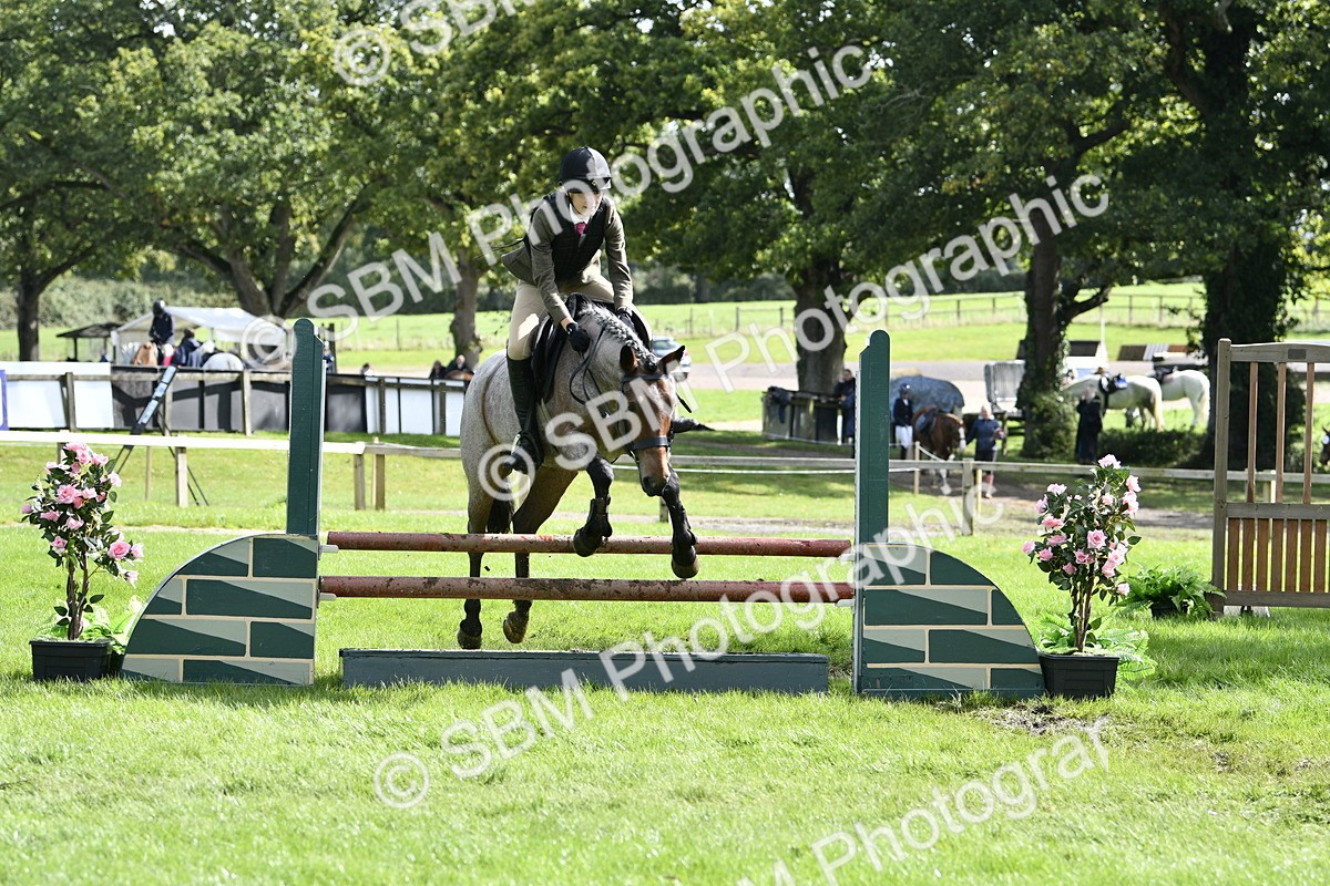 SBM_45674 - S33 - Working Hunter Pony