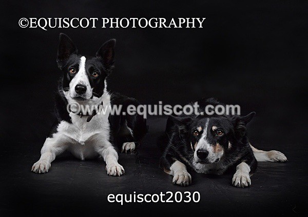 equiscot2030 - SKY & NELL