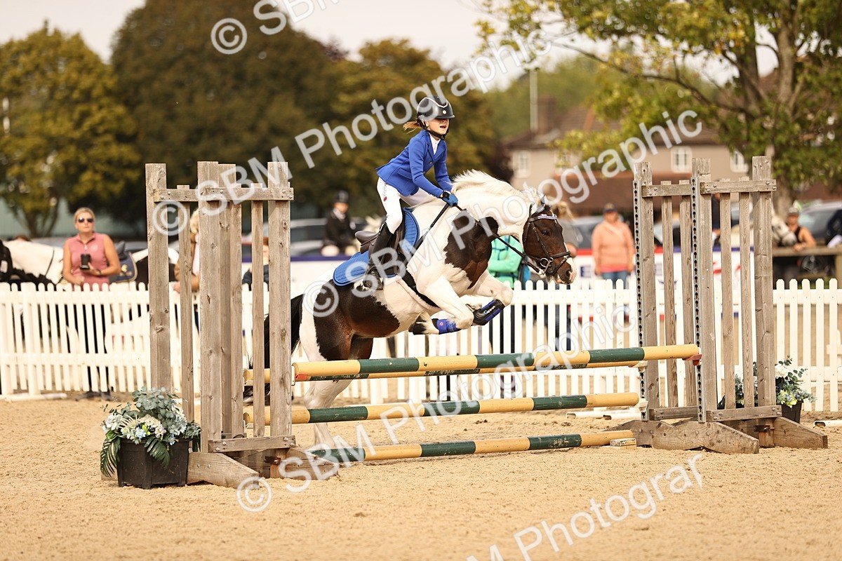 SBM_70814 - J13 - Junior Pony 60cm Championship
