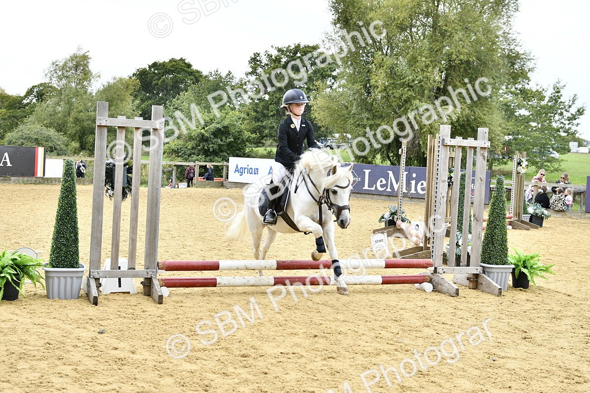 SBM_65402 - J2a mini Tour Junior Pony 30cm Championship
