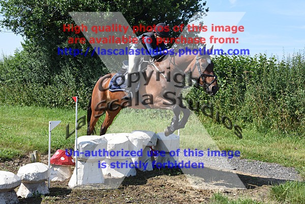 SNCP_0049 - A Group