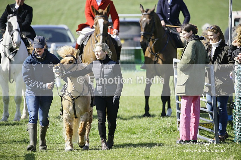 PtP 190322 99 - Wilton Hunt PtP Milborne St Andrew 19/03/22