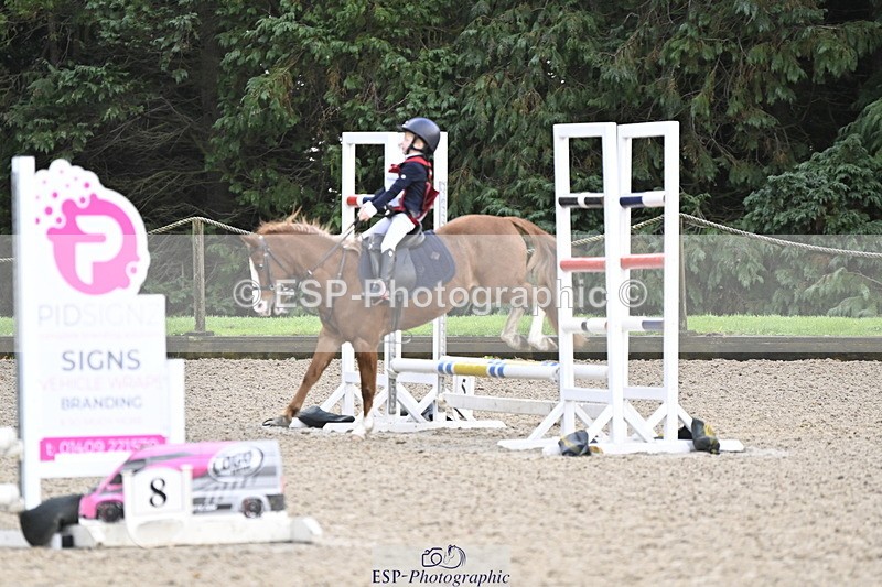 251005A-090809-02955 - Cls 02 GR 50cm