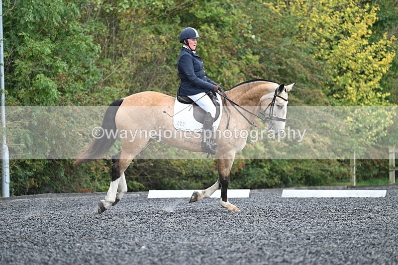 WJ7_4542 - Time 11:43 to 12:09