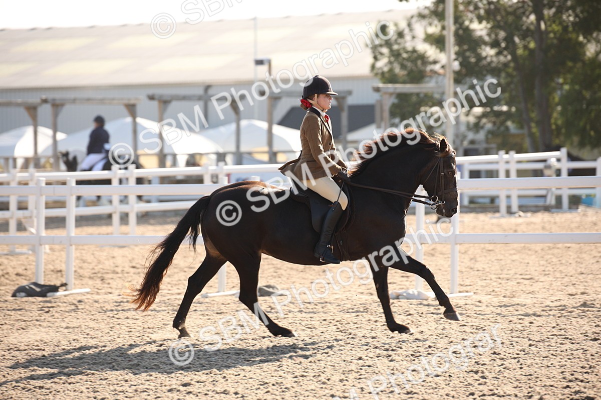 SBM_00636 - Class 14 Ridden M&M Wildcard