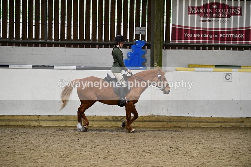 WJ5_8505 - Class 14 Novice Ridden/Rider