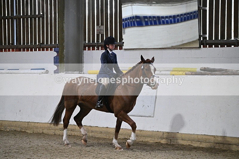 WJ7_4102 - Class 17 Ridden Cob
