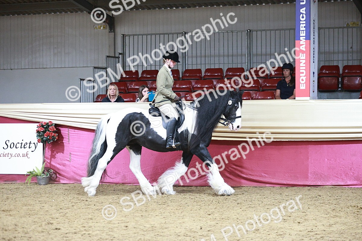 SBM_08752 - Class 12R - Regional Ridden Pre-Vet