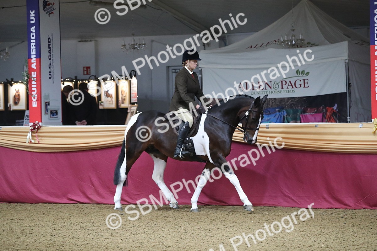 SBM_10310 - Class 102 Equitation (best rider) Adult