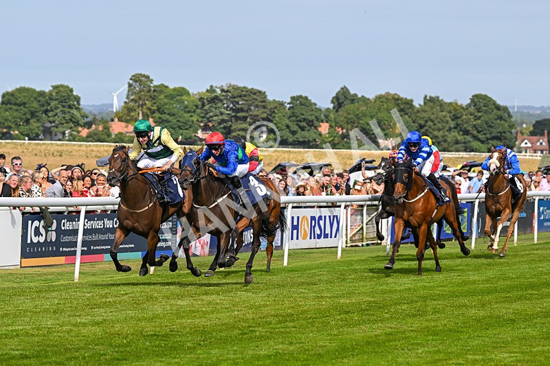 140824-Race 4-Queens Road Revue-6466 - Race 4