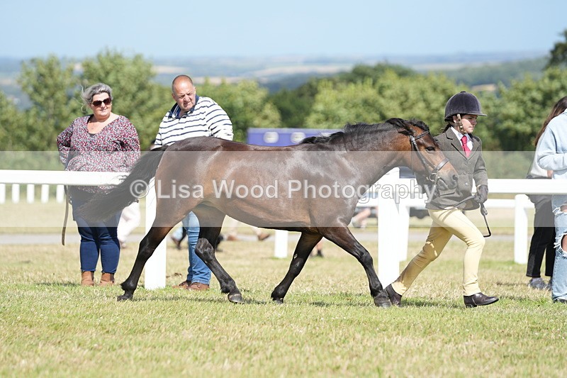 DSC07596 - Class 62: Child Handler