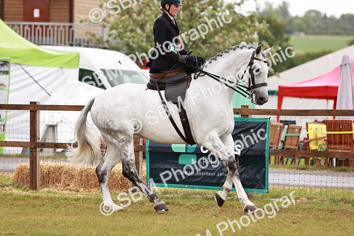 SBM_11013 - Class 81-84 - RIHS Ridden hunters Inc Ladies Hunter