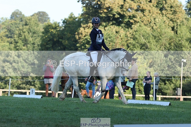 250823A-083233-25717 - Arena D