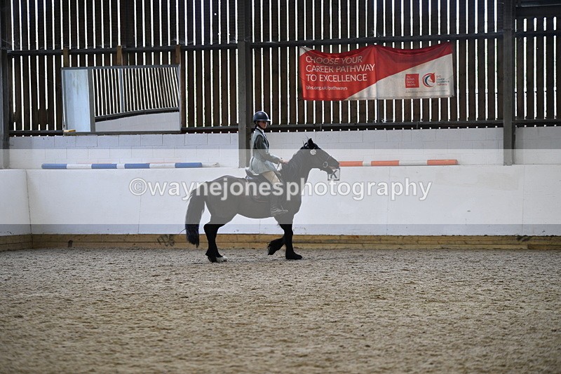 WJ5_7882 - Class 13 Ridden Part Breed