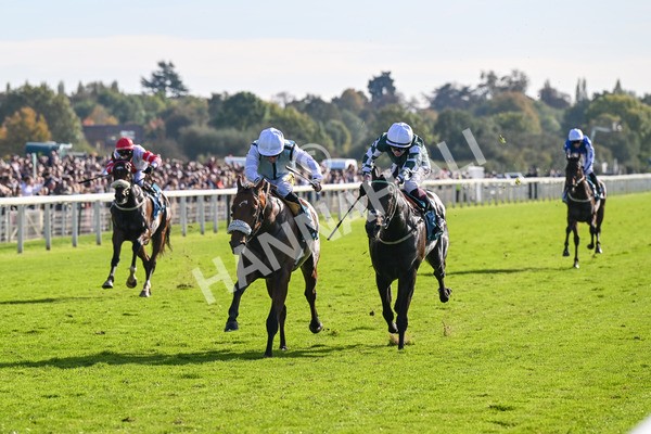 111025-Race 3-Laazm-8584 - Race 3 Coral 'Daily Reward Shaker' For Free Nursery Handicap at York