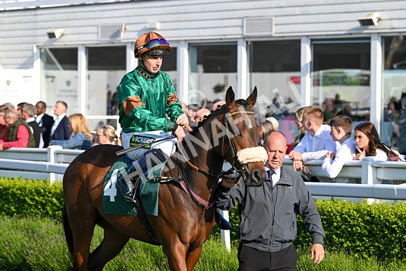 310524-Race 1-Military Girl-8146 - Race 1