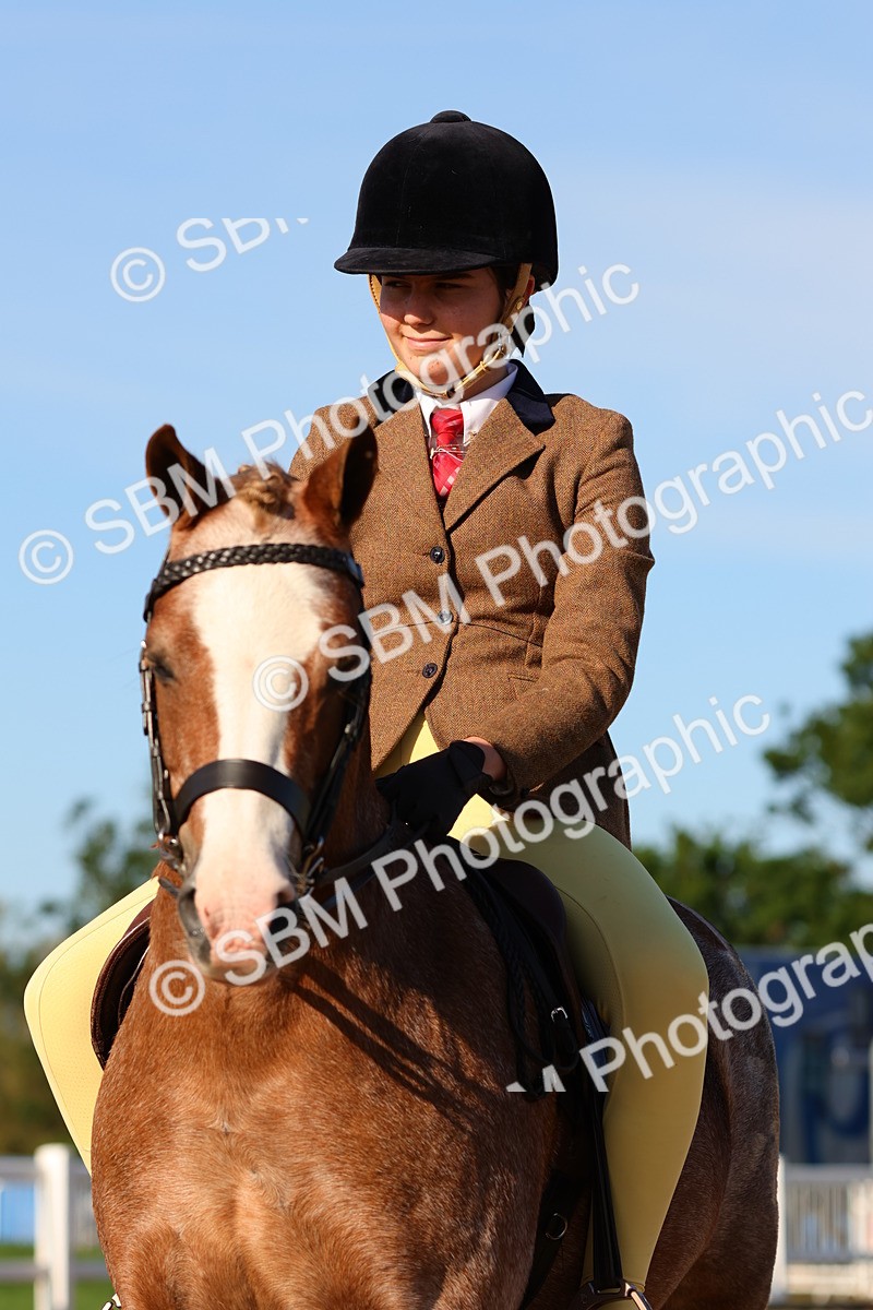 SBM_08191 - Class 202 - Best Turned Out -  Ridden