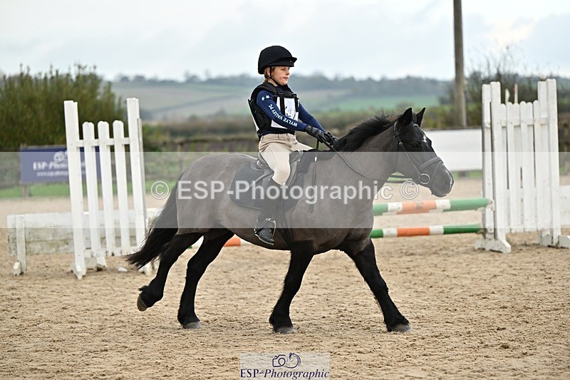 241110-134254-00917 - 60-65cm Arena Eventing