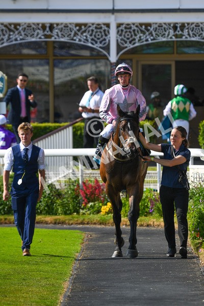 160623-Race 6-Another Investment-0713 - Race 6 4.45pm Irish Thoroughbred Marketing Handicap