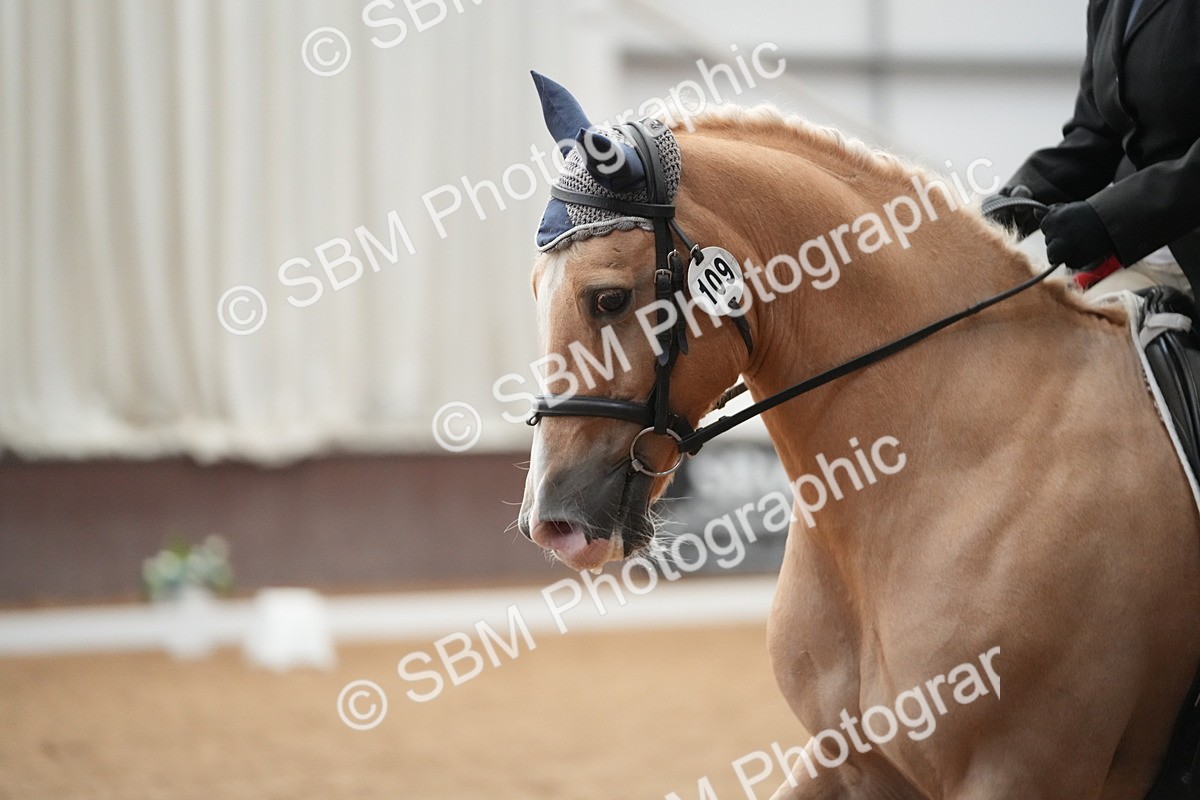 SBM_002194 - Classes 12 & 13 - PYO Champs & Warm Up