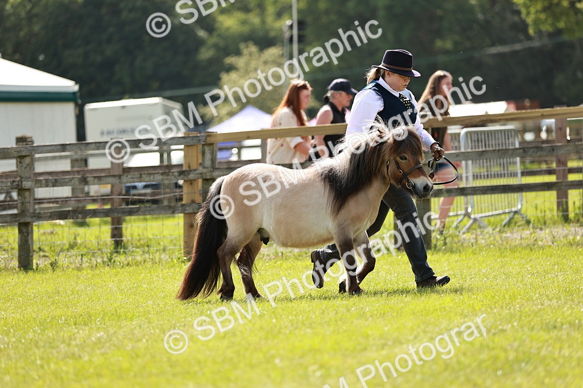 SBM_01746