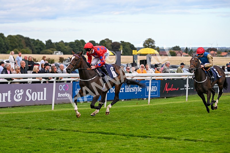 160926-Race 3-Myesme-0116 - Race 3 3.18pm Napoleons Casino And Restaurant Hull EBF Fillies' Novice Stakes