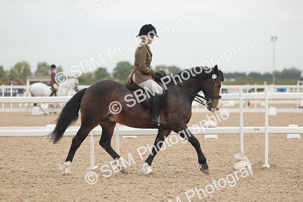 SBM_01848 - Class 14 - Ridden M&M Wildcard