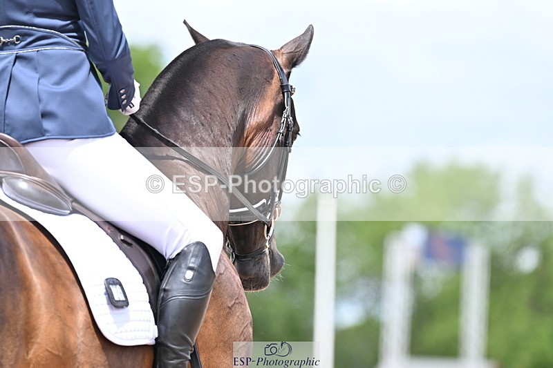 240622A-125755-10309 - Cls 30 BD Elementary 53