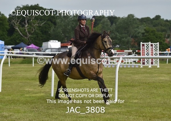 JAC_3808 - 65cm WORKING HUNTER