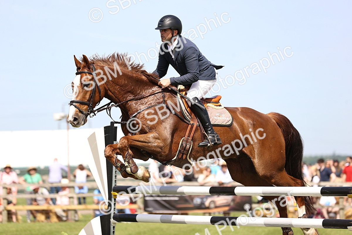 SBM_03294 - Class 201 - British Horse Feedds Speedi Beet HOYS Grade C