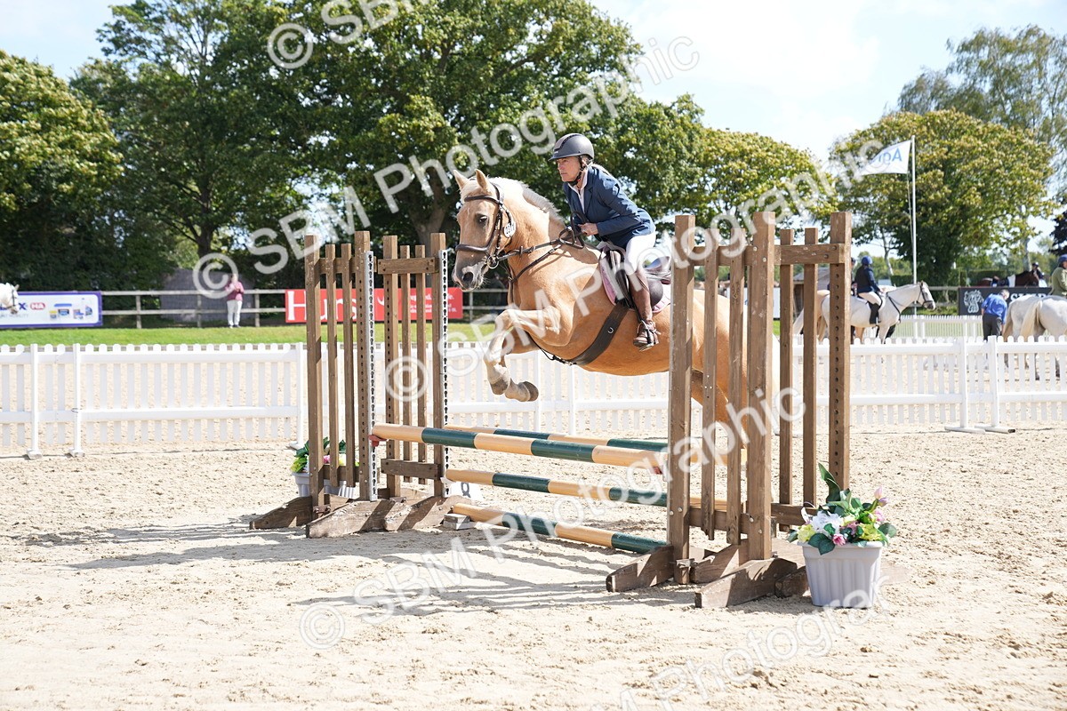 SBM_06061 - J56 - Clear Round 70cm
