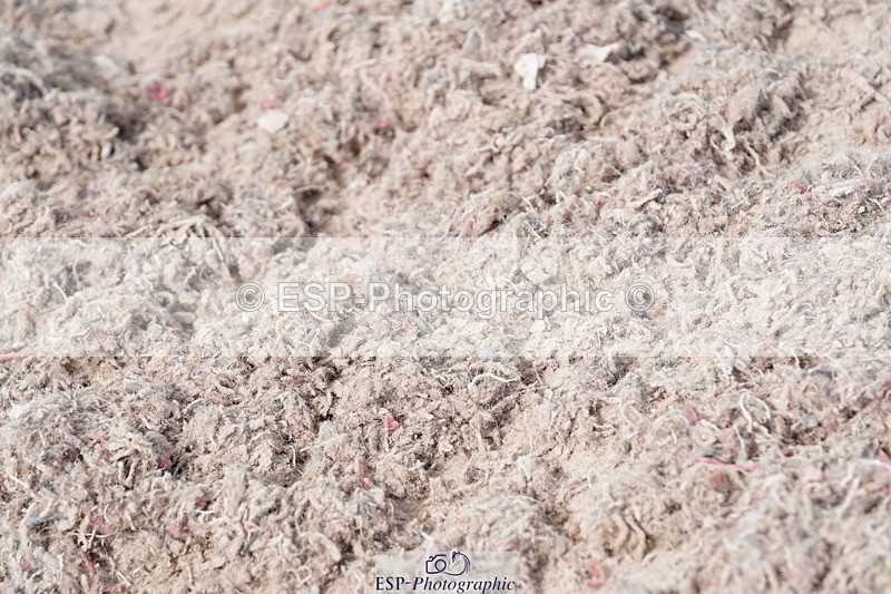 250505-095716-04173 - Cls 12 Stepping Stones