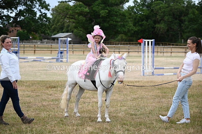 WJ6_5005 - Class 11 Fancy Dress