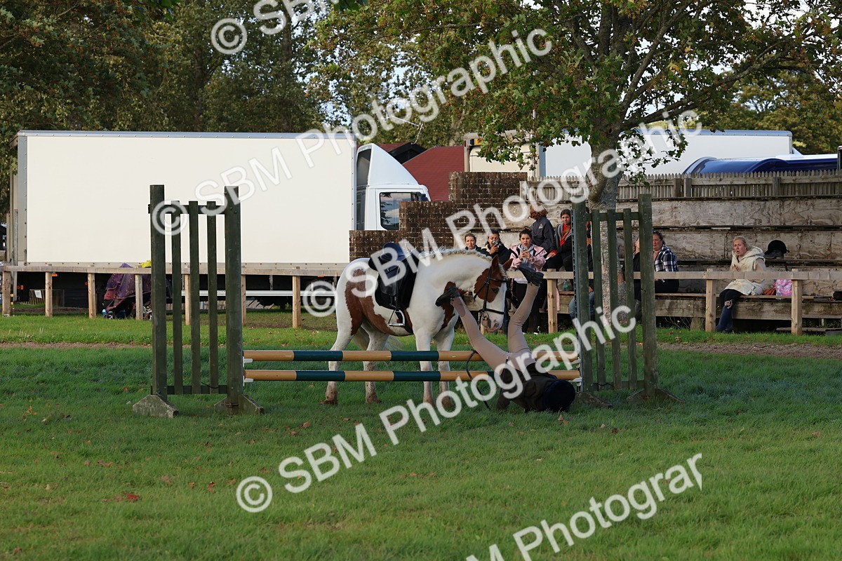 SBM_52576 - S13 - Pony Club Pony