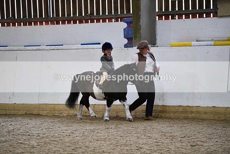 WJ5_6565 - Class 10 Childs Pony