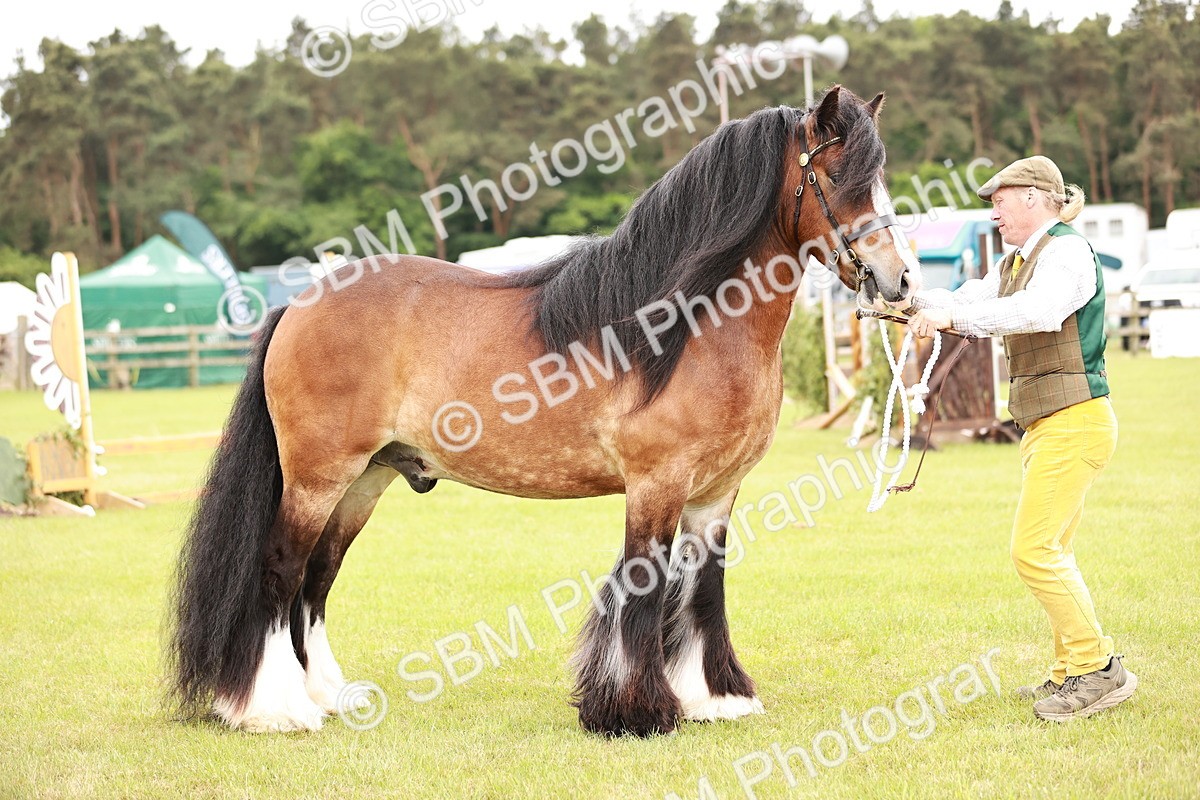 SBM_06042 - Class 39-41 TGCA In Hand and Ridden