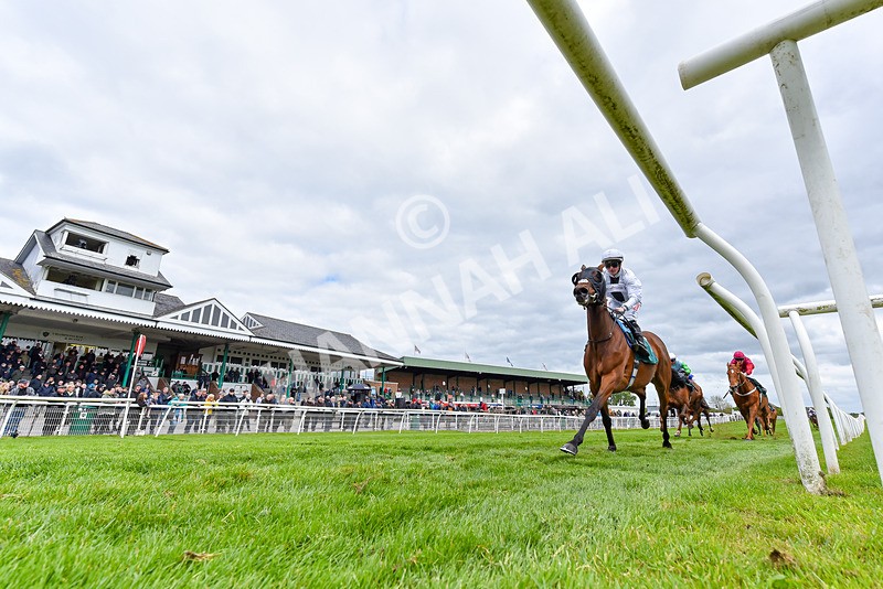 110526-Race 3-Laravie-8019 - Race 3 3.30pm Mick Rose Turns 70 Handicap