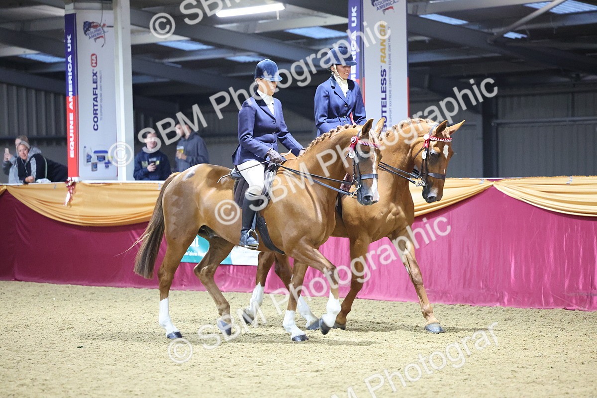 0B8A4325 - Class M Ridden Pairs Champ