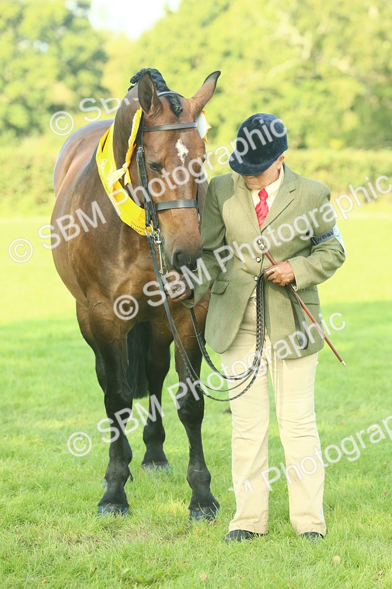 SBM_61144 - Starter Supreme Championship
