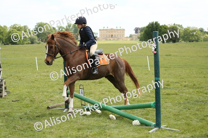 20250517-2922 - Class 25 - Horse & Hound