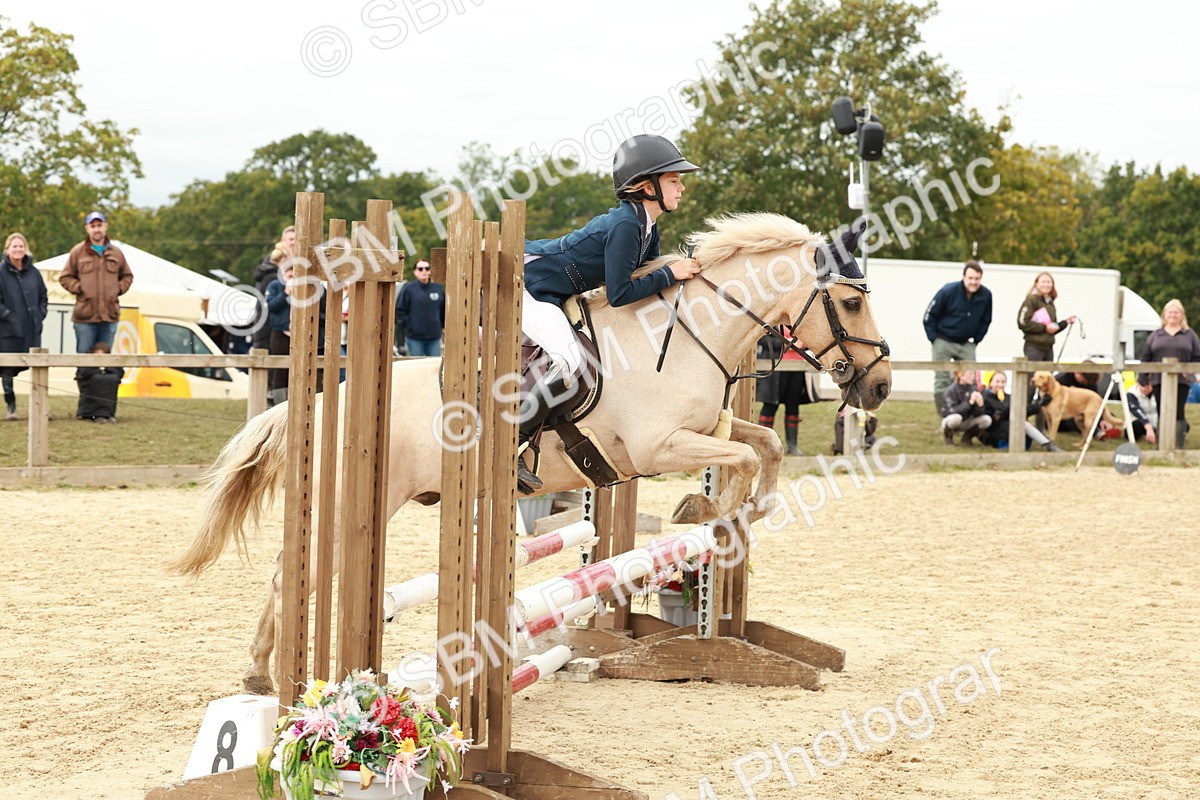 SBM_66859 - J13 - Junior Pony 60cm Championship