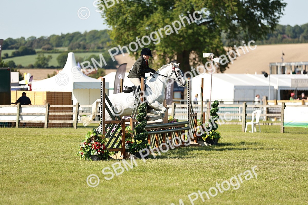 SBM_19199 - Class 115-116 - LIHS BSHA Rising Star Working Hunter & Show Horse