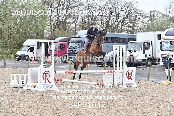 BPP_1047 - CLASS 2 Club/ Unaffiliated 80cms Open