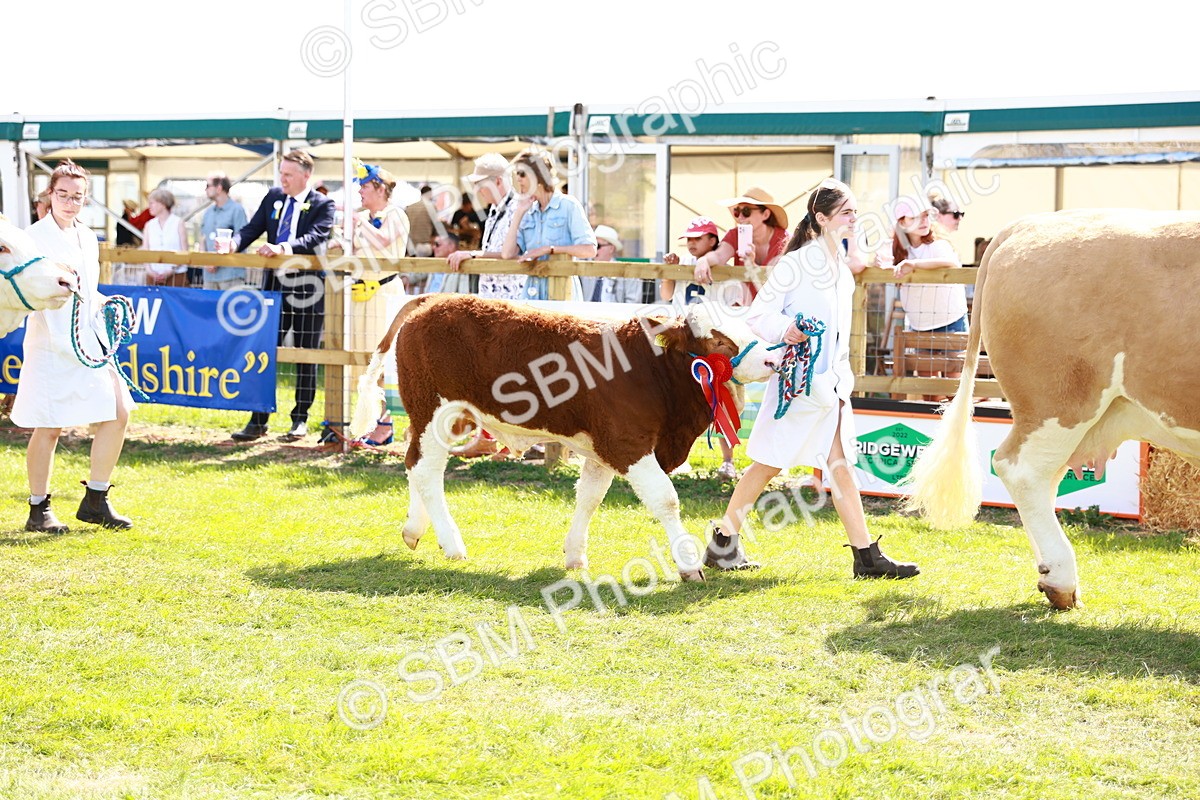 SBM_08435 - Grand Parade
