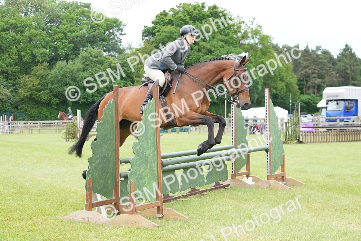 SBM_12627 - Class 97-98 - LIHS BSHA Rising Star Working Show Horse Hunter