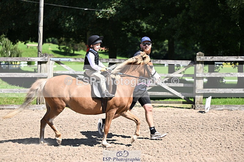 240729B-111816-02310 - Showjumping Competition