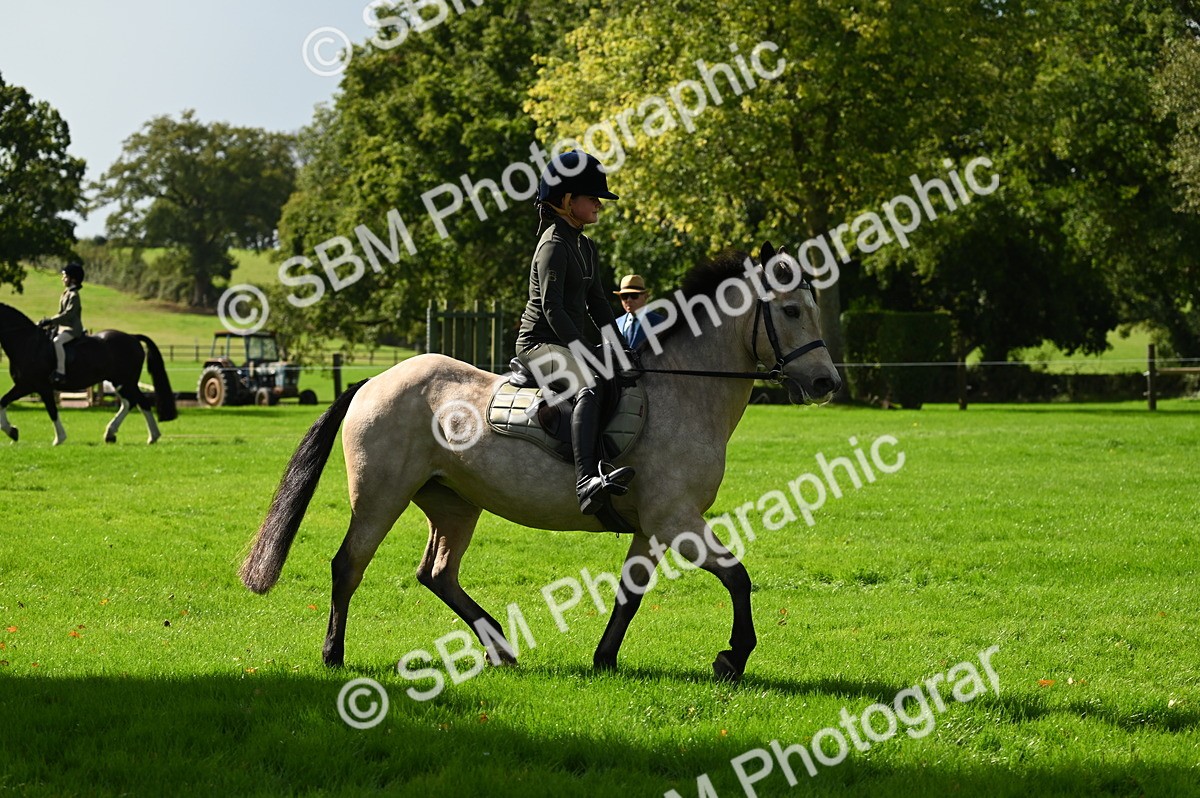 SBM_02762 - S3 - TSR Ridden Pony Showing