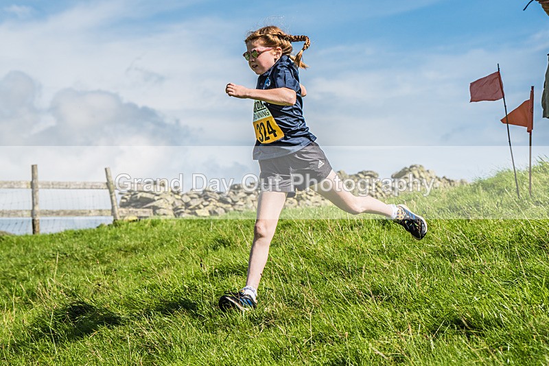 Loweswater Show-79 - Loweswater Show Junior & Senior Fell Races Sunday 3rd September 2023